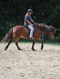 Nicole Johnen reitunterricht Klassische Dressur Centered Riding angebot1