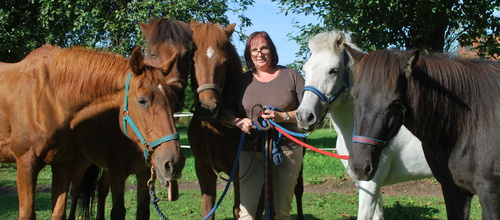 Nicole Johnen Centered riding und Ihre Pferde und Islandpferden