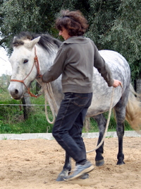 Nicole Johnen reitunterricht Klassische Dressur Centered Riding kommunikation1