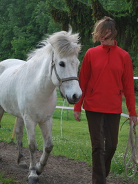 Nicole Johnen reitunterricht Klassische Dressur Centered Riding kommunikation2