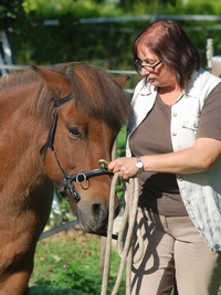 Nicole Johnen reitunterricht Klassische Dressur Centered Riding longieren2